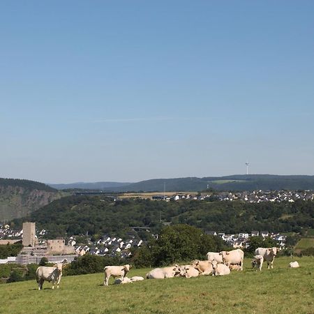 Ferienwohnung Auf Der Moselhoehe - Naehe Koblenz Und Cochem ディーブリヒ エクステリア 写真