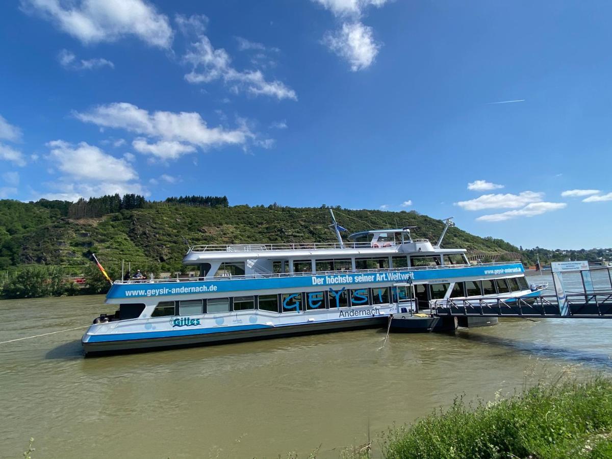 Ferienwohnung Auf Der Moselhoehe - Naehe Koblenz Und Cochem ディーブリヒ エクステリア 写真