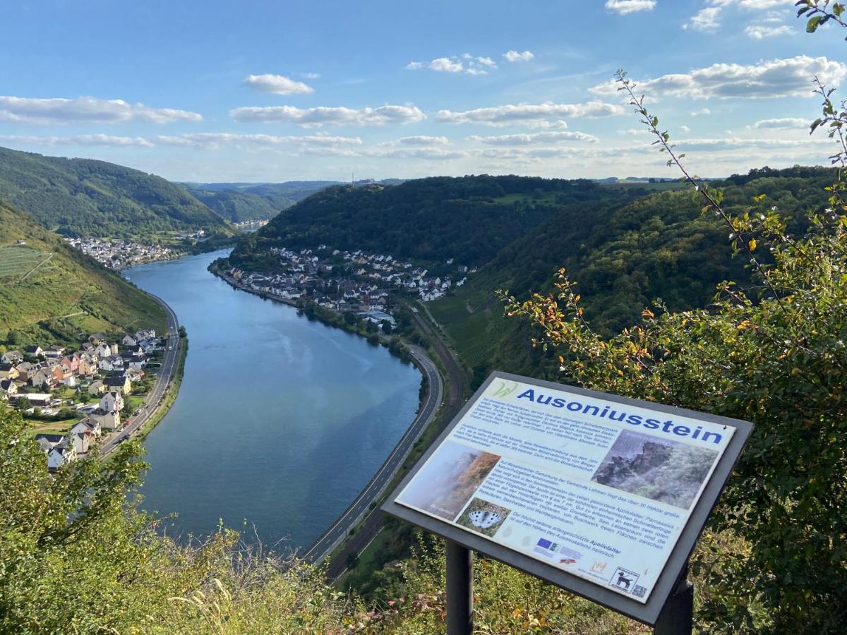 Ferienwohnung Auf Der Moselhoehe - Naehe Koblenz Und Cochem ディーブリヒ エクステリア 写真