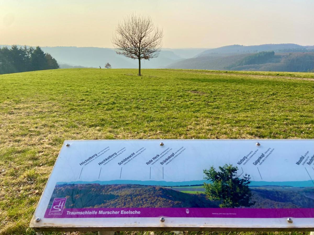 Ferienwohnung Auf Der Moselhoehe - Naehe Koblenz Und Cochem ディーブリヒ エクステリア 写真