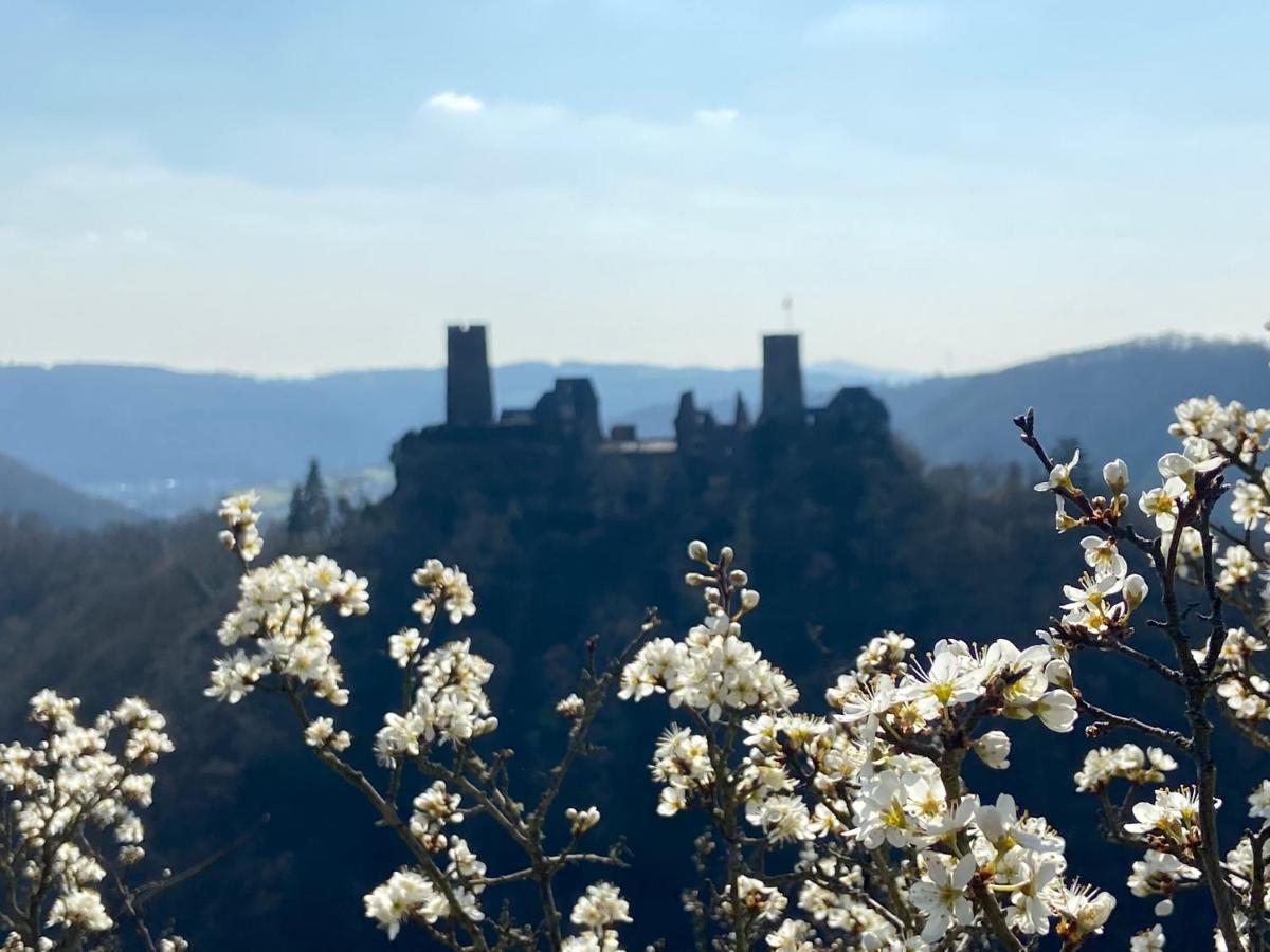 Ferienwohnung Auf Der Moselhoehe - Naehe Koblenz Und Cochem ディーブリヒ エクステリア 写真