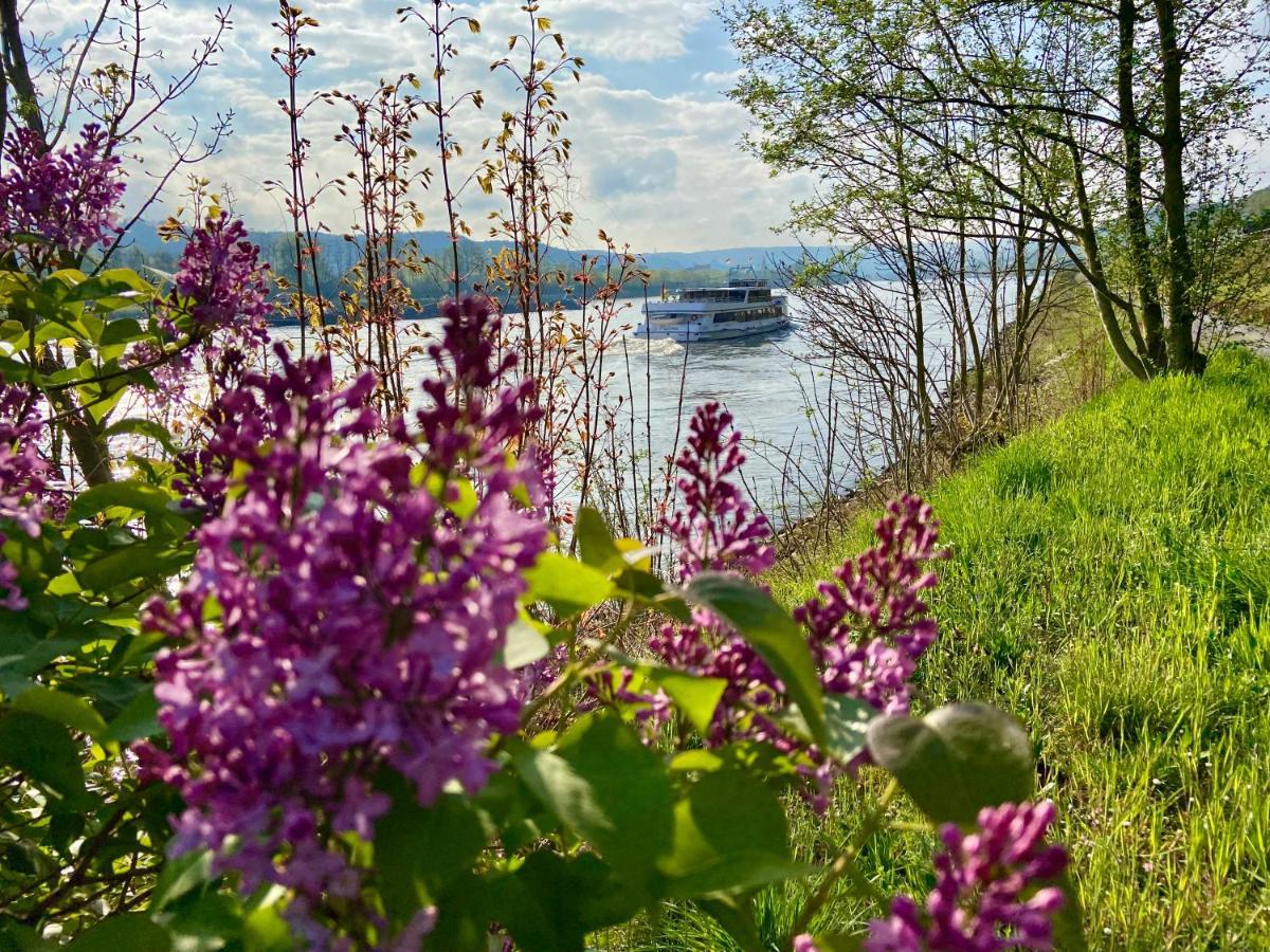 Ferienwohnung Auf Der Moselhoehe - Naehe Koblenz Und Cochem ディーブリヒ エクステリア 写真