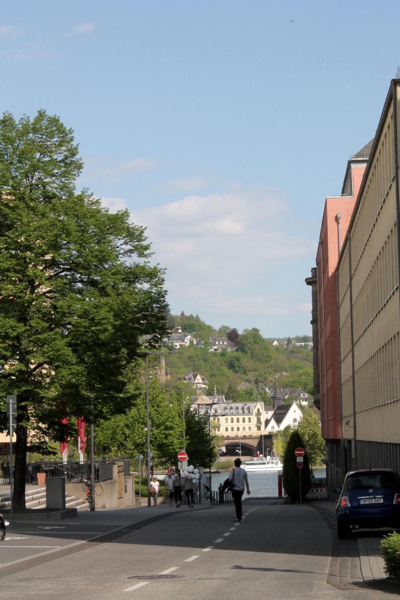 Ferienwohnung Auf Der Moselhoehe - Naehe Koblenz Und Cochem ディーブリヒ エクステリア 写真
