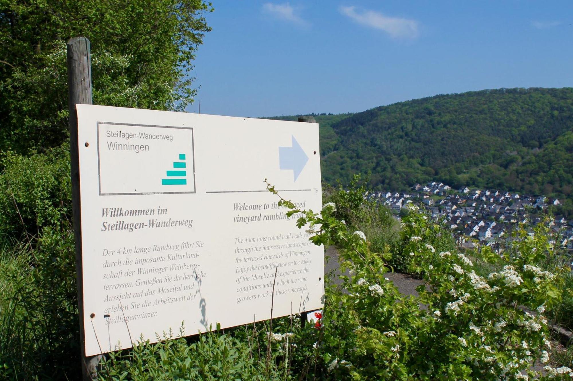 Ferienwohnung Auf Der Moselhoehe - Naehe Koblenz Und Cochem ディーブリヒ エクステリア 写真