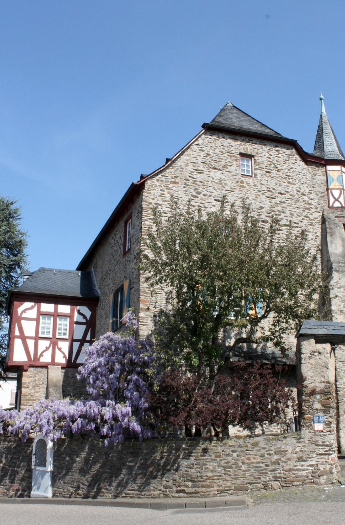Ferienwohnung Auf Der Moselhoehe - Naehe Koblenz Und Cochem ディーブリヒ エクステリア 写真
