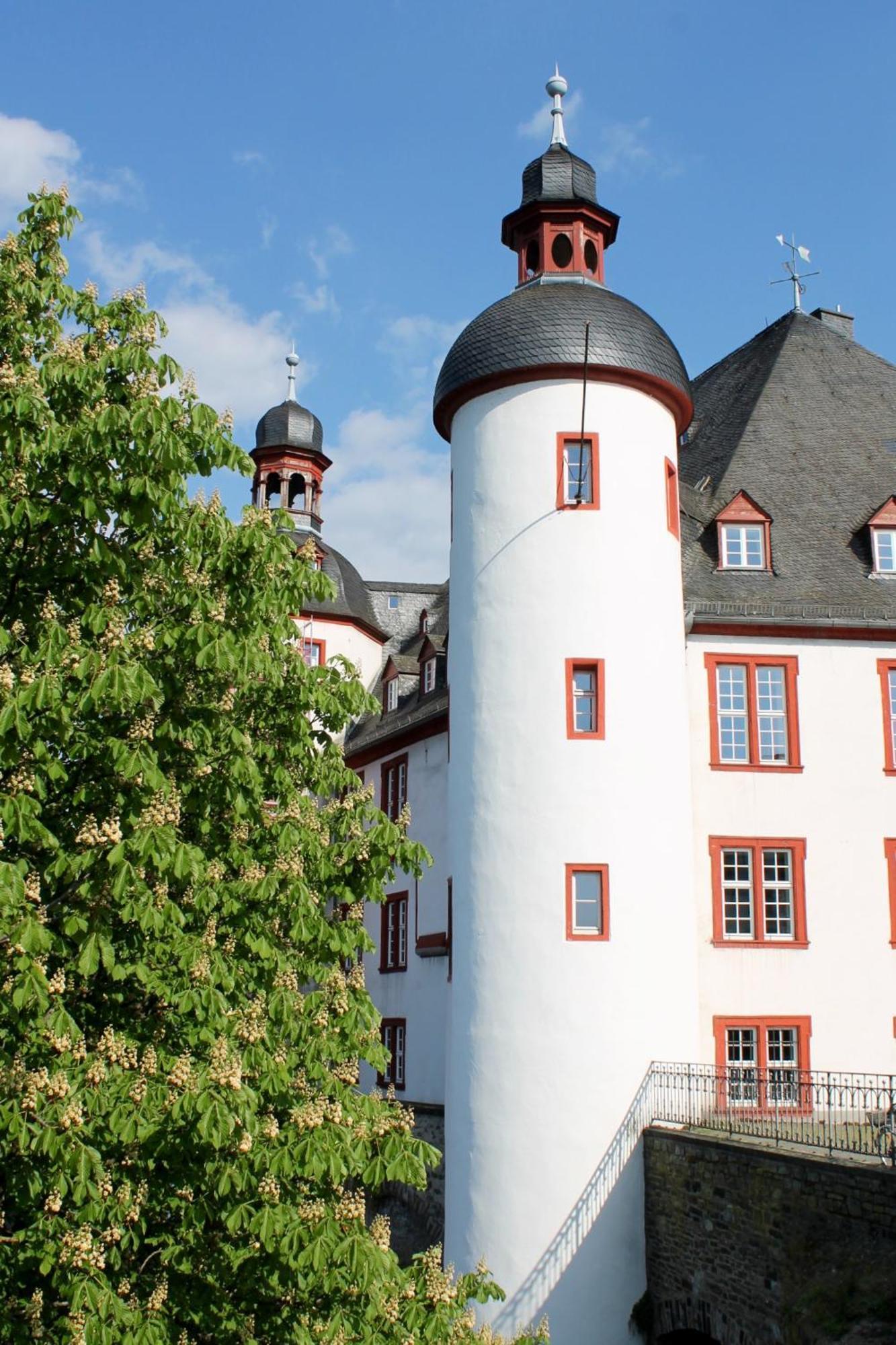 Ferienwohnung Auf Der Moselhoehe - Naehe Koblenz Und Cochem ディーブリヒ エクステリア 写真