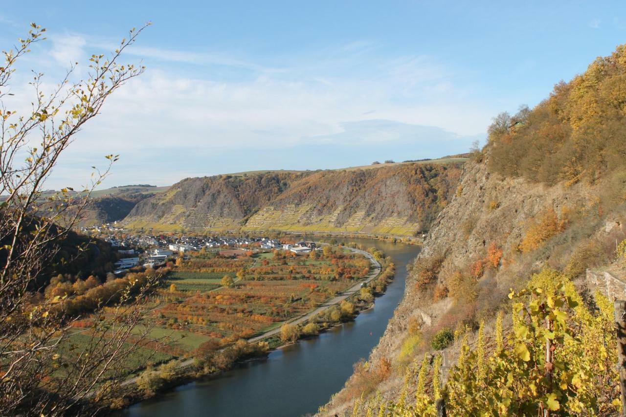 Ferienwohnung Auf Der Moselhoehe - Naehe Koblenz Und Cochem ディーブリヒ エクステリア 写真