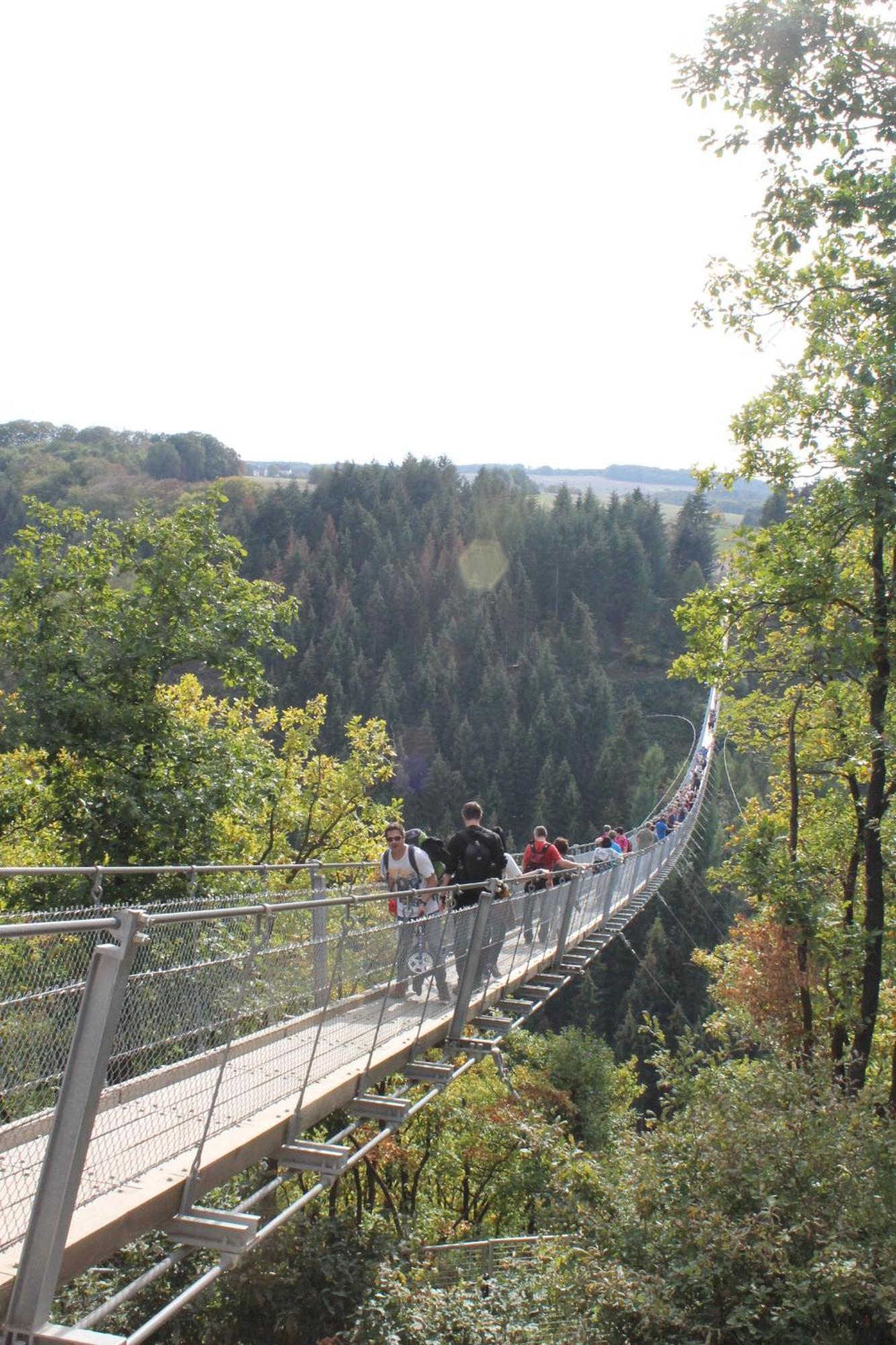 Ferienwohnung Auf Der Moselhoehe - Naehe Koblenz Und Cochem ディーブリヒ エクステリア 写真
