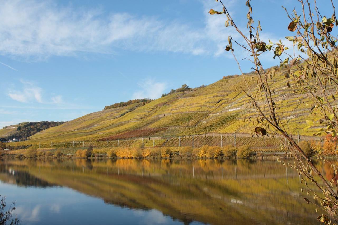 Ferienwohnung Auf Der Moselhoehe - Naehe Koblenz Und Cochem ディーブリヒ エクステリア 写真
