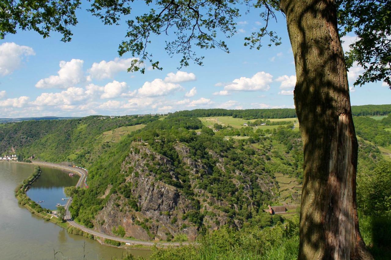 Ferienwohnung Auf Der Moselhoehe - Naehe Koblenz Und Cochem ディーブリヒ エクステリア 写真